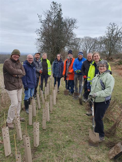 River Mole - South East Rivers Trust
