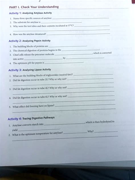 SOLVED: PART I. Check Your Understanding Activity 1: Analyzing Amylase ...