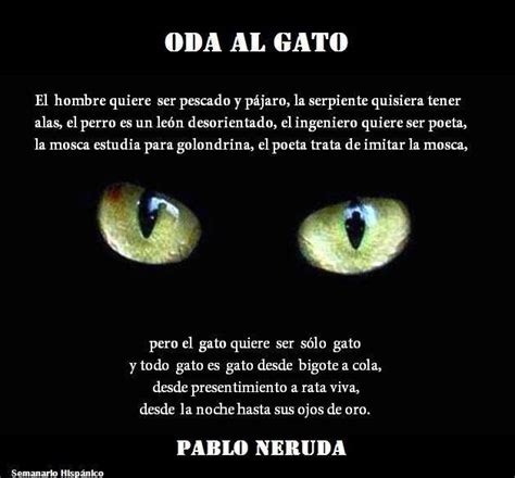 Los habitantes de Apao Cat os saludanAlgunas Rimas y Leyendas de gatos ...