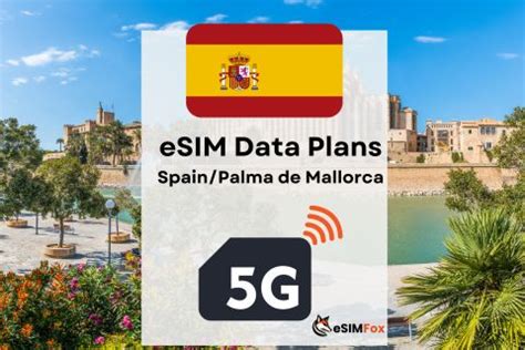 BESTE Touren für Alleinreisende Palma de Mallorca 2024 KOSTENLOS