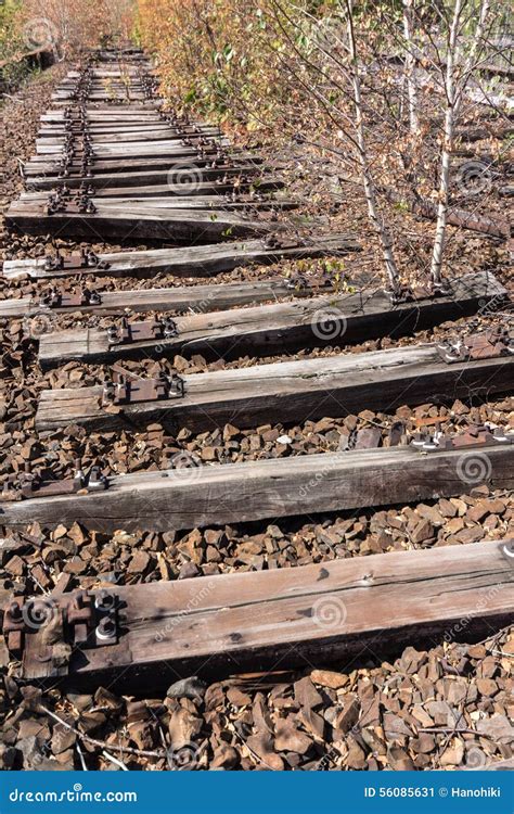 Old Railway Railroad Rail Track Abandoned Destroyed And Overgrown