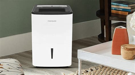 The 5 Best Dehumidifiers With Pump 2024