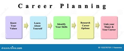 Stages Of Career Planning