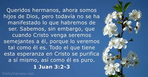 1 Juan 3 2 3 Versículo De La Biblia