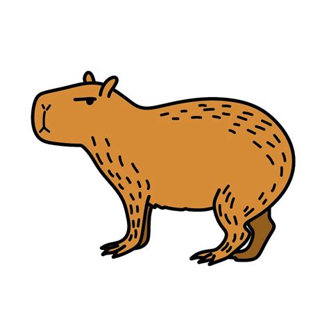 Como Desenhar Capivara Fofa - 10