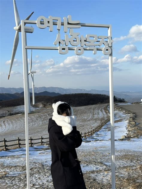 강원도 대관령 강릉 여행 필수 코스 추천 삼양목장 삼양라면 영화 드라마 촬영지 태극기 휘날리며 가을 동화 연애