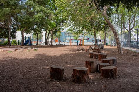 Schoolyard Forest Photos — Green Schoolyards America