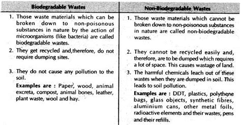 Our Environment Class 10 Notes Science Chapter 15 Learn Cbse