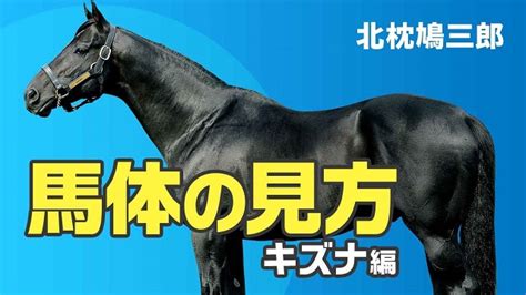 【馬体の見方】キズナ産駒の特徴と注意してチェックするべき点北枕鳩三郎 競馬予想動画 Netkeiba