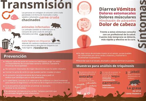 IMPORTANTE PREVENCIÓN DE LA TRIQUINOSIS Municipalidad de Coronel Suárez