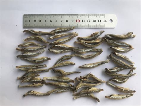 Сушеный Анчоус / Dried Anchovy - Купить сушеные морепродукты оптом