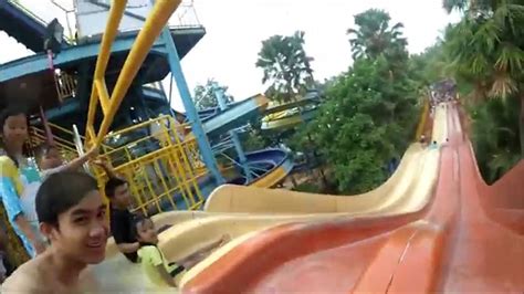 Ocean Park Bsd Youtube