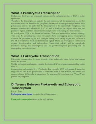 Transcription Pdf