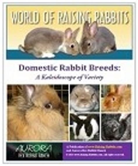 Domestic Rabbit Breeds - a Kaleidoscope of Variety