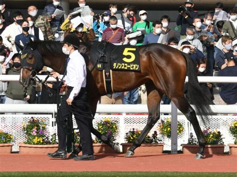 【次走】デビュー2連勝のダノンスコーピオンは松山騎手とのコンビで朝日杯fsへ 競馬ニュース Netkeiba