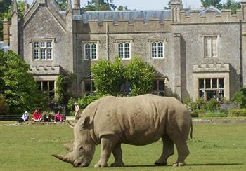 Cotswold Wildlife Park Mammals Birds Reptiles Invertebrates Exotic