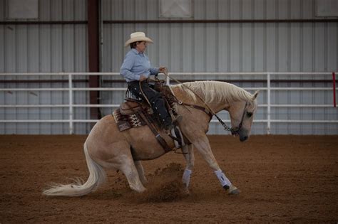 2023 Show Results - Panhandle Reined Cow Horse Association