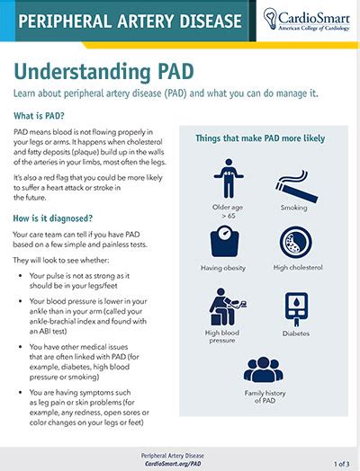 Peripheral Artery Disease Exams And Tests Cardiosmart American