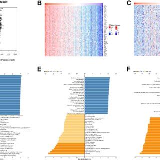 Gene Mutation Between High And Low ICOS Groups In LUAD Top 20 Genes