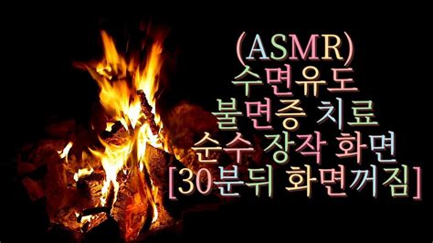 Asmr 모닥불 불멍 자작나무장작 소리🌴불면증해소 수면유도 영상🌜 Youtube