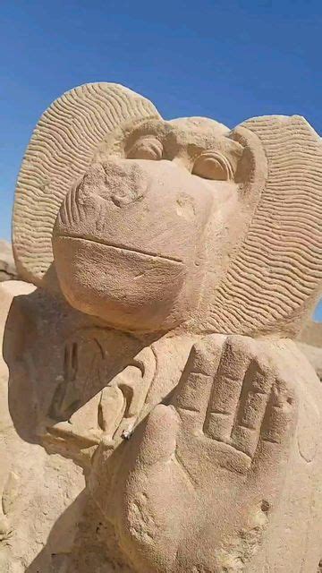 Wendy Bradfield On Instagram Baboon Solar Deity Of Ancient Egypt