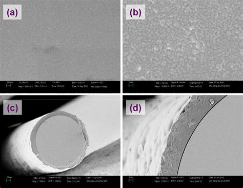 Scanning Electron Microscopy Images Of A Naked Fiber And B D The