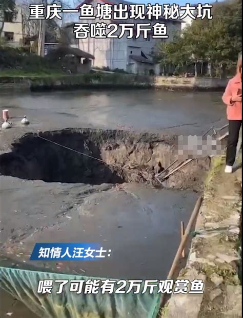 鱼塘突现深坑近2万斤观赏鱼一夜消失 这是地道挖到鱼塘了吗中华网