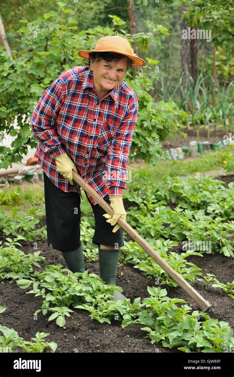 Mature lady garden tool hi-res stock photography and images - Alamy 