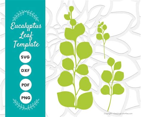 Eucalyptus Paper Leaf Template Eucalyptus Vine Svg Etsy