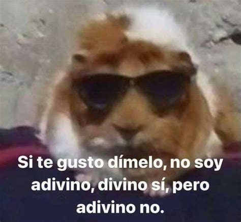 Dopl R On Twitter Si Te Gusto D Melo No Soy Adivino Divino S Pero