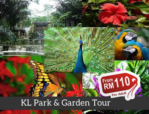 Kl Bird Park Entrance Fee Butterfly Park Ticket Online Booking