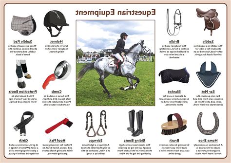 Second hand Horse Riding Equipment in Ireland | 53 used Horse Riding ...