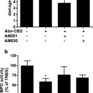 The Effects Of Abn CBD Treatment In The Presence Of CB Antagonists On