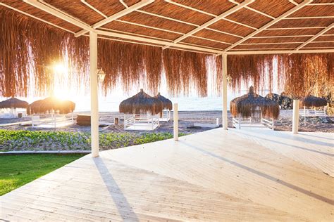 Growing Popularity of Synthetic Thatch Roofs in Hospitality