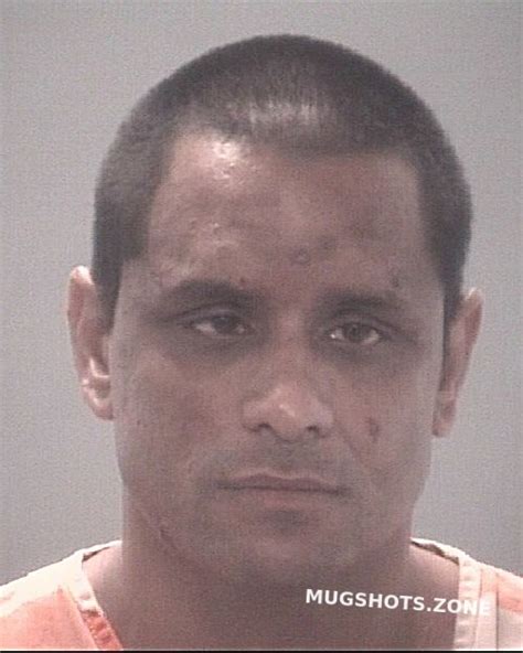 Vega Anthony 01312023 Pasco County Mugshots Zone