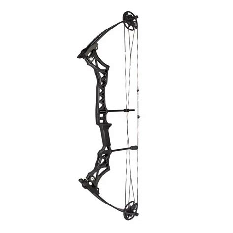 IN STOCK Junxing Phoenix M108 Black 30 55lbs Target Compound Bow