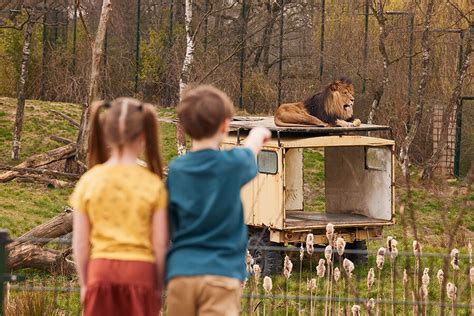 Safaripark Beekse Bergen Hilvarenbeek Eintrittskarten F R Den