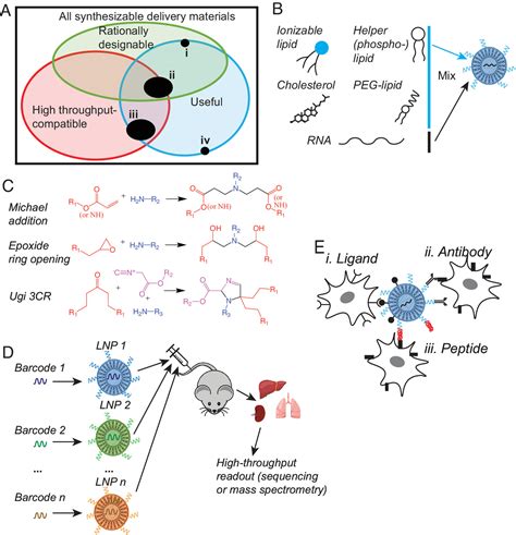 Recent Advances In Nanoparticulate Rna Delivery Systems Pnas