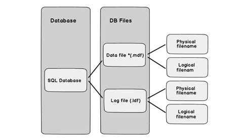 How To Rename Database And Files In Sql Server