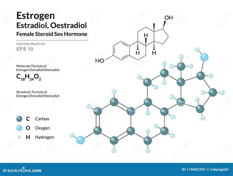 Estrógeno Estradiol Estradiol Fórmula Química Estructural Y Molécula