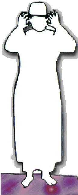 intend  offer  salaah fajr zuhr asr