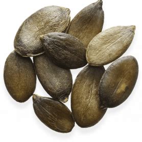 Black Pumpkin Seeds PNG PNG Play