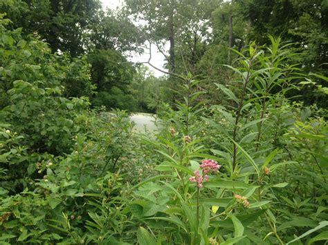 Oxbow Preserve : Sycamore Land Trust