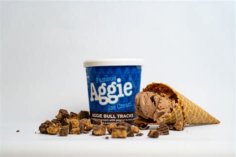 Aggie Ice Cream | USU