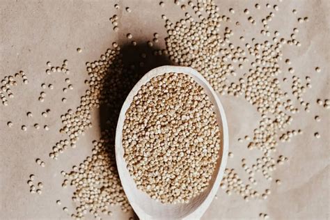 Propiedades De La Quinoa Aspectos Que Debes Saber