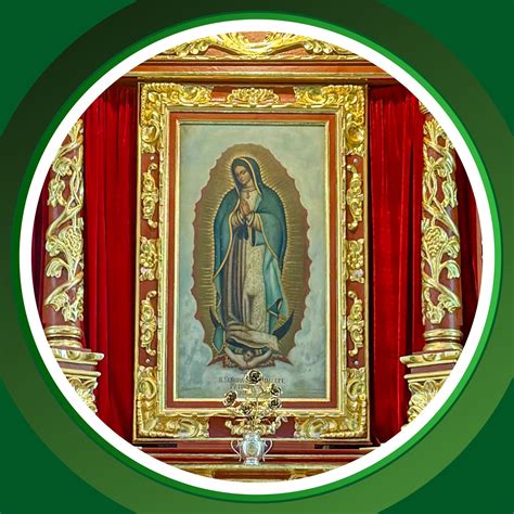 Guadalupe Infante Torrentera 6