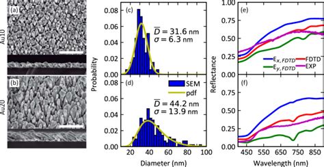 On The Large Near Field Enhancement On Nanocolumnar Gold Substrates