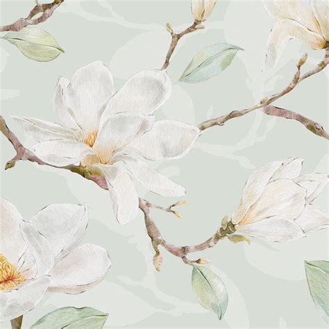 magnolia flower wallpaper