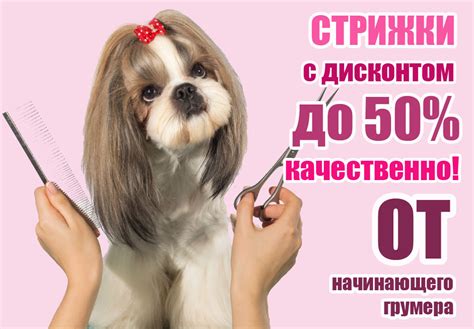 Всем скидка по акции Начинающий грумер - акции зоосалона Maitre Groom