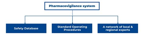 Pharmacovigilance System Flow Chart